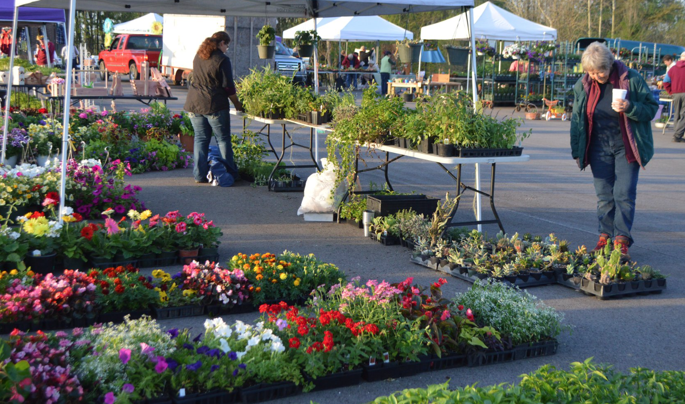 2018 BCMG Plant Sale